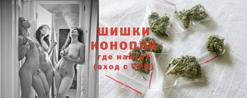 Бошки марихуана OG Kush  кракен вход  Гусиноозёрск 